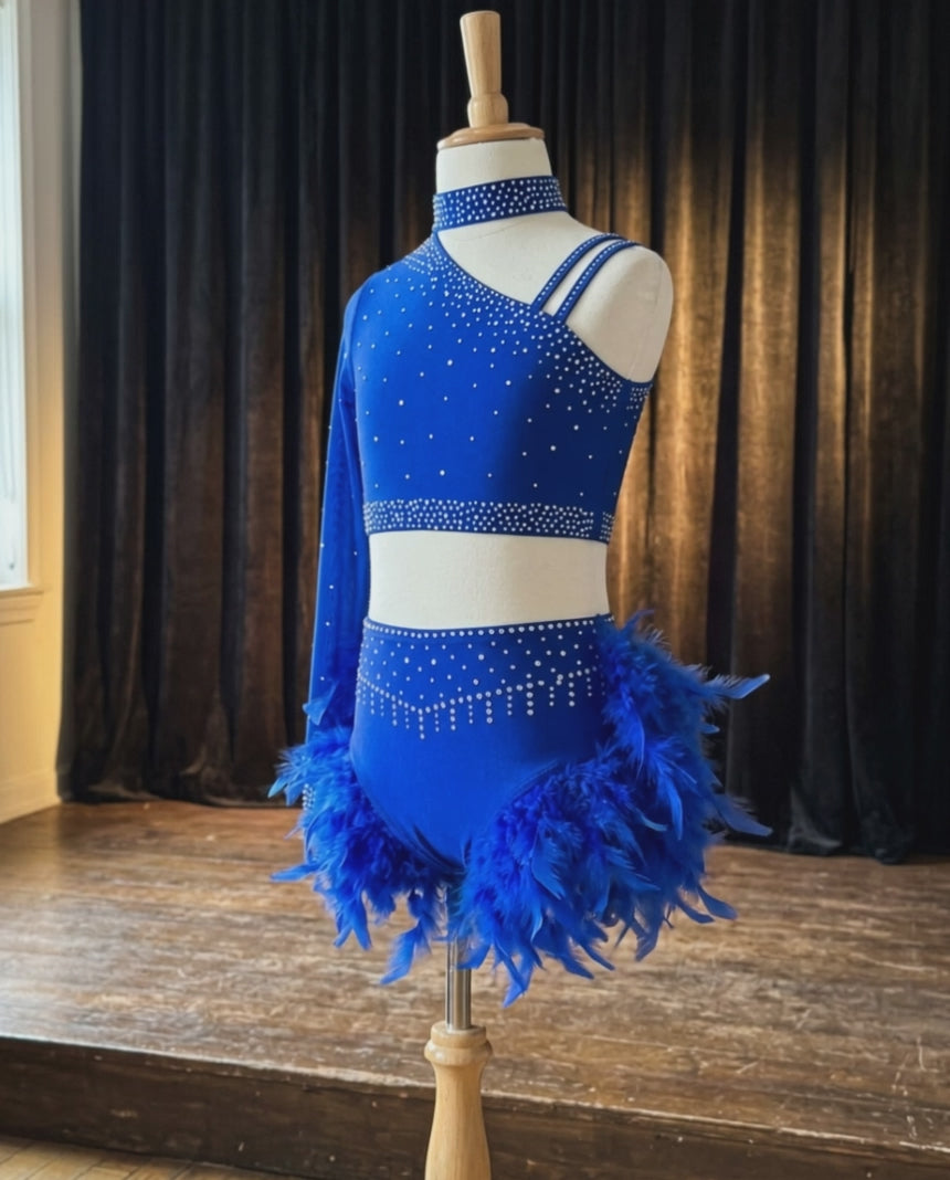 Starlight Feather Dance Costume – Rhinestone Crop Top & Feather Shorts